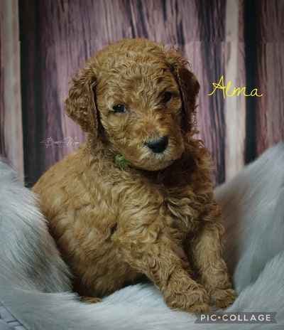 BT Fotodesign Berit Thiessen Fotodesign