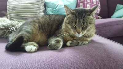 Küstenbaby Flensburg - Babyfotografie