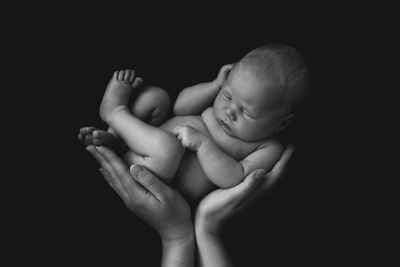 Zwei Elefanten - Neugeborenen,-Schwangerschaft,- und Kinderfotografin - Ruslana Senn