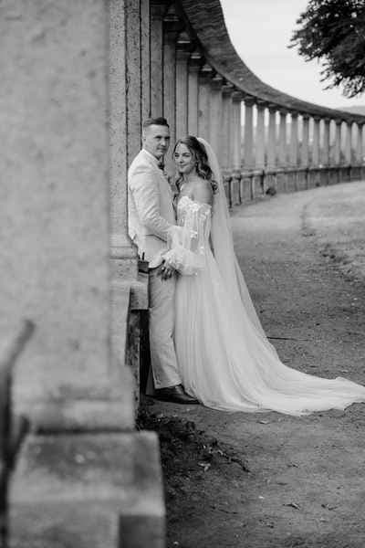 Löwenzahn Fotografie