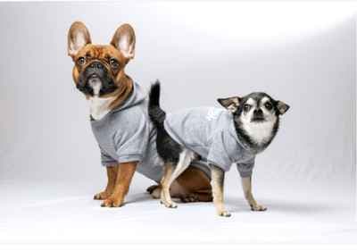 Fotoatelier Fontes / Fotograf Paulo Fontes/ Businessfotograf/ Hochzeitsfotograf / Familienfotograf / Babybauchfotograf